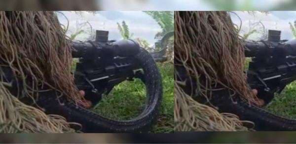 Video Viral Ular Kobra Melilit Senapan Anggota TNI Bikin Merinding