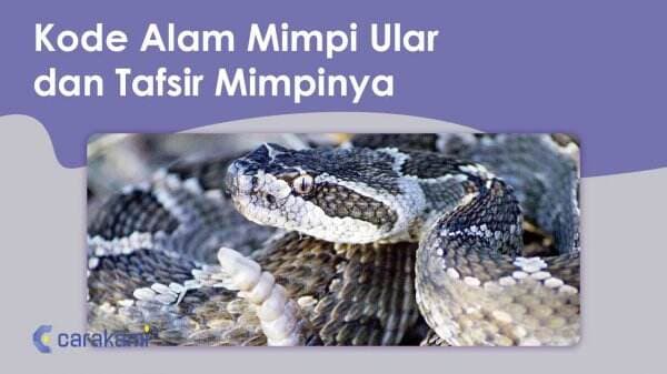 16 Kode Alam Mimpi Ular dan Tafsir Mimpinya Terbaru 16 Kode Alam Mimpi Ular dan Tafsir Mimpinya Terbaru