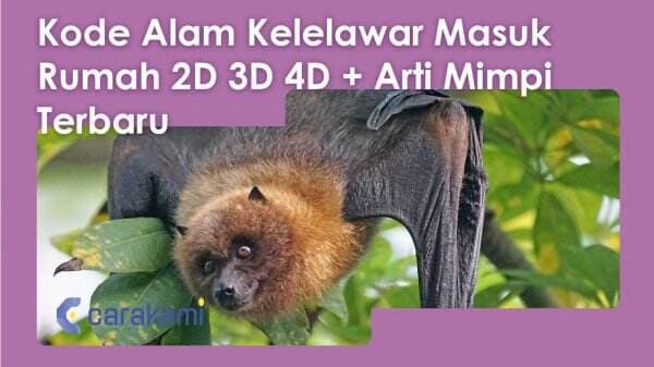 10+ Kode Alam Kelelawar Masuk Rumah 2D 3D 4D + Arti Mimpi Terbaru 10+ Kode Alam Kelelawar Masuk Rumah 2D 3D 4D + Arti Mimpi Terbaru