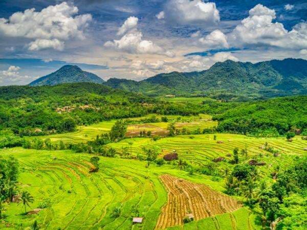 10 Contoh Puisi Pendek Tentang Keindahan Alam, 2 dan 4 Bait! 10 Contoh Puisi Pendek Tentang Keindahan Alam, 2 dan 4 Bait!