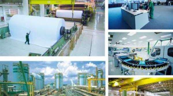 Profil PT RAPP, Perusahaan Kertas Terbesar di Indonesia dan Kontribusinya Bagi Dunia Profil PT RAPP, Perusahaan Kertas Terbesar di Indonesia dan Kontribusinya Bagi Dunia