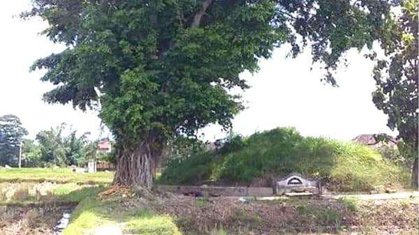 Batalkan Poeger, Kembali Angkat Rahmat Pewaris Takhta Batalkan Poeger, Kembali Angkat Rahmat Pewaris Takhta