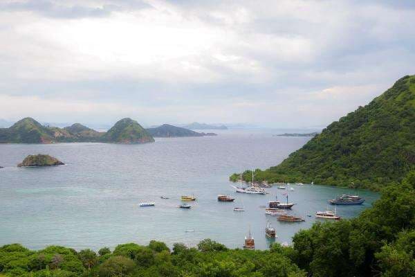Pascainsiden Fernando Martin, Pelayaran Kapal Wisata di Labuan Bajo Dihentikan Sementara Pascainsiden Fernando Martin, Pelayaran Kapal Wisata di Labuan Bajo Dihentikan Sementara