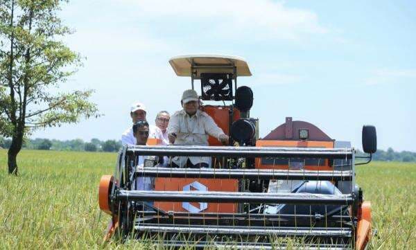 Prabowo Gelar Panen Raya Serentak di 14 Provinsi Prabowo Gelar Panen Raya Serentak di 14 Provinsi