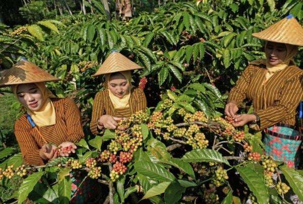 Berdayakan 14,4 Juta Pengusaha Wanita, Holding Ultra Mikro BRI Ciptakan Kesetaraan Gender Berdayakan 14,4 Juta Pengusaha Wanita, Holding Ultra Mikro BRI Ciptakan Kesetaraan Gender