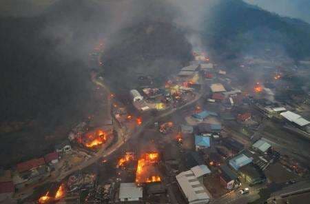 Kebakaran Hutan, 22 Orang Tewas di Korsel Kebakaran Hutan, 22 Orang Tewas di Korsel