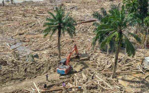 Update Korban Bencana Sumatera: 1.140 Jiwa Meninggal, 163 Masih Hilang Update Korban Bencana Sumatera: 1.140 Jiwa Meninggal, 163 Masih Hilang
