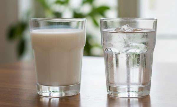 Air Putih atau Susu, Mana Lebih Menghidrasi Tubuh? Air Putih atau Susu, Mana Lebih Menghidrasi Tubuh?