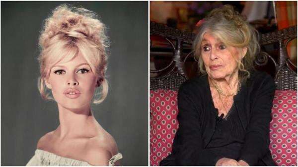 Kabar Duka, Aktris Prancis Brigitte Bardot Meninggal Dunia di Usia 91 Tahun Kabar Duka, Aktris Prancis Brigitte Bardot Meninggal Dunia di Usia 91 Tahun