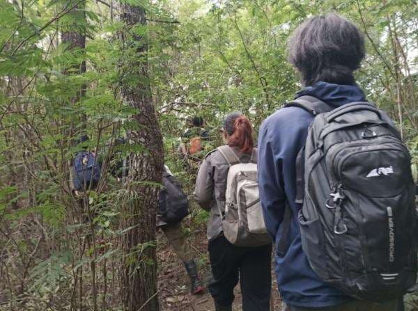 7 Perguruan Tinggi di Indonesia yang Punya Hutan Kampus, Luasnya Berhektare-hektare 7 Perguruan Tinggi di Indonesia yang Punya Hutan Kampus, Luasnya Berhektare-hektare