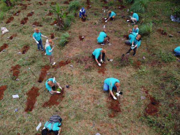 710 Ton Karbon vs 6.250 Pohon di Bogor: Siapa Pemenangnya? Ini Data Penyerapan Karbon yang Bikin Melongo 710 Ton Karbon vs 6.250 Pohon di Bogor: Siapa Pemenangnya? Ini Data Penyerapan Karbon yang Bikin Melongo