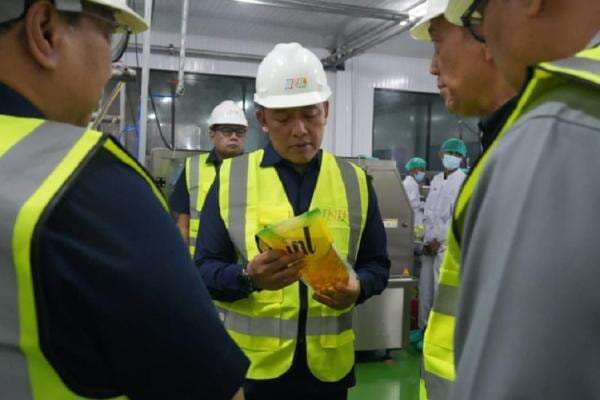 Fasilitas Pengemasan Minyak Goreng di Surabaya Percepat Pasokan ke Indonesia Timur Fasilitas Pengemasan Minyak Goreng di Surabaya Percepat Pasokan ke Indonesia Timur