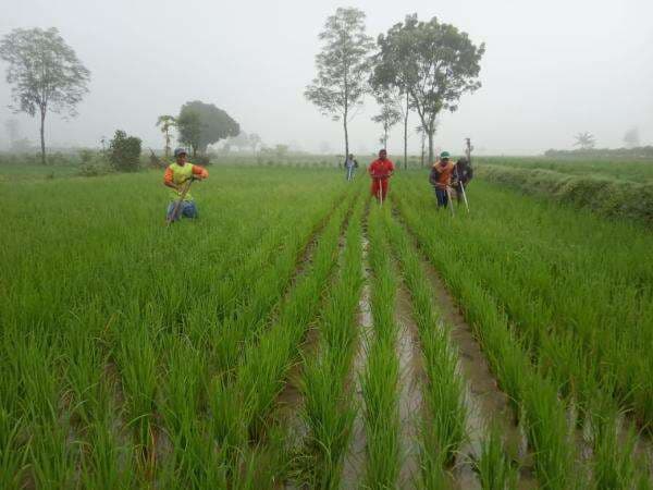 Didominasi Tambang, Struktur Ekonomi Bojonegoro dari Pertanian Hanya 11 Persen Didominasi Tambang, Struktur Ekonomi Bojonegoro dari Pertanian Hanya 11 Persen