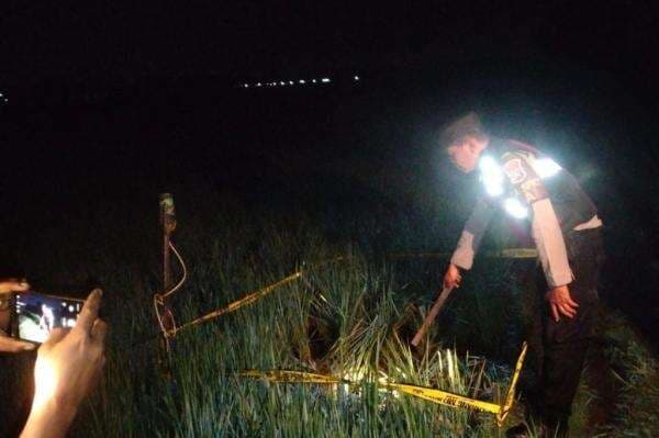 Tragis! Warga Madiun Tewas Tersengat Listrik dari Jebakan Tikus di Sawah Tragis! Warga Madiun Tewas Tersengat Listrik dari Jebakan Tikus di Sawah