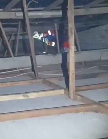 Petugas Damkar Palangkaraya evakuasi Tawon Vespa yang telah menyengat Pemilik Warung Petugas Damkar Palangkaraya evakuasi Tawon Vespa yang telah menyengat Pemilik Warung