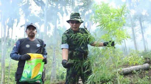 BNN Kota Lhokseumawe Musnahkan 1,5 Ton Ganja di Aceh Utara BNN Kota Lhokseumawe Musnahkan 1,5 Ton Ganja di Aceh Utara