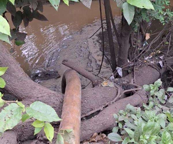 Plt Camat Kecam Pembuang Limbah Tinja di Sungai Kocon, Ancam Bakal Laporkan ke Pihak Berwenang Plt Camat Kecam Pembuang Limbah Tinja di Sungai Kocon, Ancam Bakal Laporkan ke Pihak Berwenang