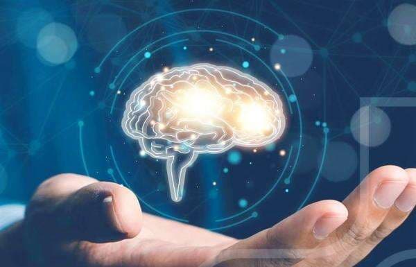 Lindungi Data Pribadi, Pemerintah Fokus Berantas Judi Online dan Keamanan Siber Lindungi Data Pribadi, Pemerintah Fokus Berantas Judi Online dan Keamanan Siber