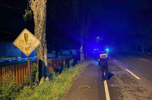 Tragis! Cowok-Cewek Tewas Tabrak Pohon Besar di Tepi Jalan Raya Jombang, Begini Kondisinya Tragis! Cowok-Cewek Tewas Tabrak Pohon Besar di Tepi Jalan Raya Jombang, Begini Kondisinya