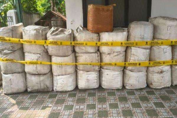 Kasus Penyelundupan 796 Kg Sisik Trenggiling, WN Vietnam Diserahkan ke Kejari Cilegon Kasus Penyelundupan 796 Kg Sisik Trenggiling, WN Vietnam Diserahkan ke Kejari Cilegon