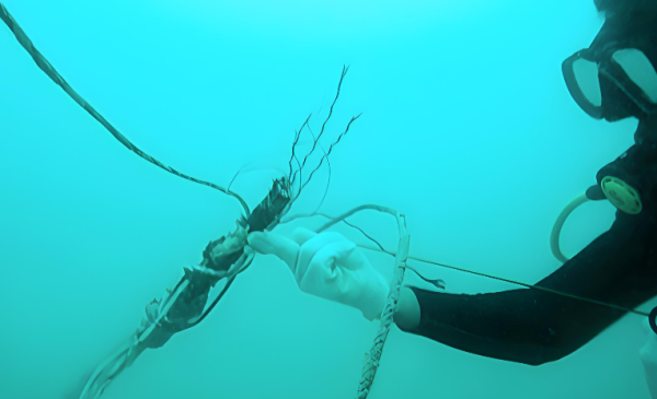 Saham KETR Bergerak di Bidang Apa? Emiten Developer Jaringan FO, Intip Daftar Proyeknya Saham KETR Bergerak di Bidang Apa? Emiten Developer Jaringan FO, Intip Daftar Proyeknya