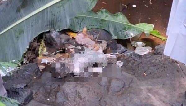 Pemalang Gempar! Sesosok Mayat Bayi Telah Membusuk Ditemukan Warga Desa Pulosari di Sungai Pemalang Gempar! Sesosok Mayat Bayi Telah Membusuk Ditemukan Warga Desa Pulosari di Sungai