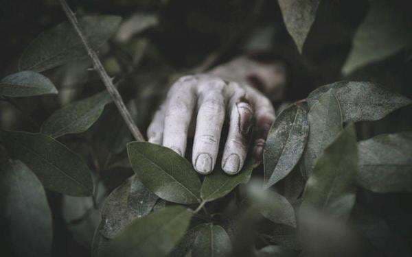 Probolinggo Diterjang Hujan Badai, 1 Orang Tewas Tertimpa Pohon Tumbang Probolinggo Diterjang Hujan Badai, 1 Orang Tewas Tertimpa Pohon Tumbang