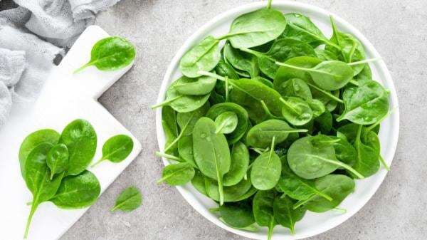 3 Menu Diet yang Cocok untuk Ramadhan 3 Menu Diet yang Cocok untuk Ramadhan