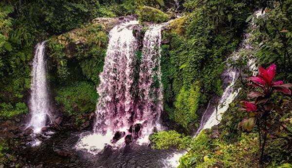 14 Tempat Wisata di Purwokerto, Libur Panjang Akhir Tahun 2024 Segera Tiba 14 Tempat Wisata di Purwokerto, Libur Panjang Akhir Tahun 2024 Segera Tiba