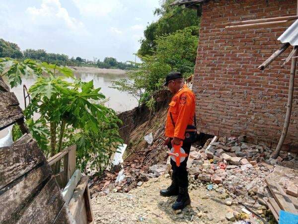 BPBD Bojonegoro Sebut Belasan Titik Alami Longsor, Rerata Tebing Sungai Bengawan Solo BPBD Bojonegoro Sebut Belasan Titik Alami Longsor, Rerata Tebing Sungai Bengawan Solo