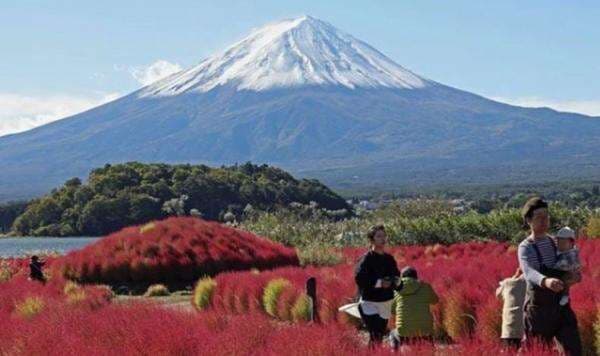 Susah Payah Diselamatkan, Pendaki Ini Balik Lagi ke Gunung Fuji gegara Ponselnya Ketinggalan Susah Payah Diselamatkan, Pendaki Ini Balik Lagi ke Gunung Fuji gegara Ponselnya Ketinggalan