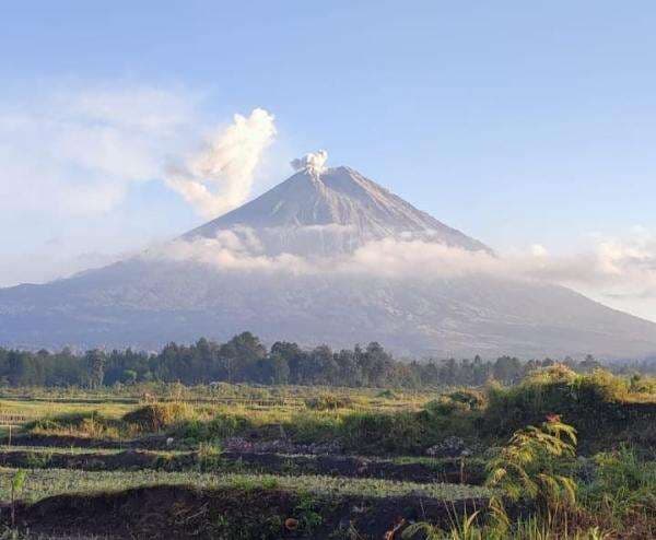 5 Gunung Suci Jadi Landasan Kerajaan di Jawa Timur Dirikan Bangunan 5 Gunung Suci Jadi Landasan Kerajaan di Jawa Timur Dirikan Bangunan