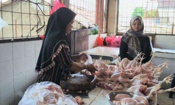 Harga Ayam Kian Mahal, Tembus Rp70 Ribu Jelang Lebaran 2024 Harga Ayam Kian Mahal, Tembus Rp70 Ribu Jelang Lebaran 2024
