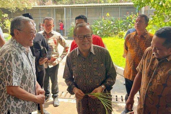 Jenguk Hasto di Rutan KPK, Kardinal Suharyo Bawa Daun Palma Jenguk Hasto di Rutan KPK, Kardinal Suharyo Bawa Daun Palma