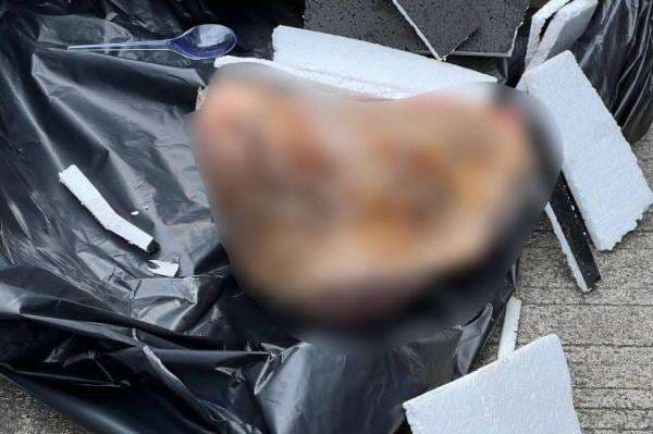 Gaya Komunikasi Agresif Menanggapi Teror Kepala Babi Gaya Komunikasi Agresif Menanggapi Teror Kepala Babi