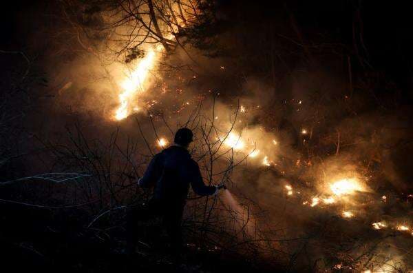 Kebakaran Hutan di Korea Selatan, 26 Orang Tewas Kebakaran Hutan di Korea Selatan, 26 Orang Tewas