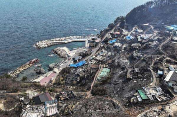 Rekor! Kebakaran Hutan di Korsel Lahap 33.000 Hektare Lahan, 26 Orang Tewas Rekor! Kebakaran Hutan di Korsel Lahap 33.000 Hektare Lahan, 26 Orang Tewas