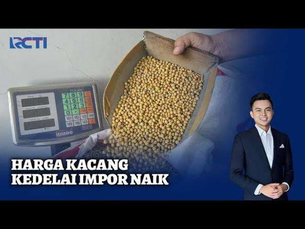 Harga Ayam Anjlok Pasca Lebaran, Peternak Bisa Rugi Rp691,2 Miliar Harga Ayam Anjlok Pasca Lebaran, Peternak Bisa Rugi Rp691,2 Miliar