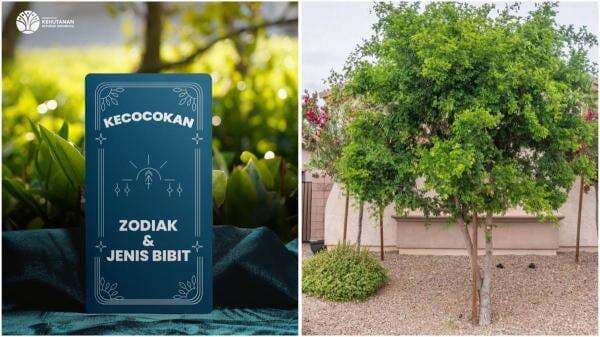 Viral Kementerian Kehutanan Bahas Zodiak di Media Sosial, Banjir Komentar Netizen! Viral Kementerian Kehutanan Bahas Zodiak di Media Sosial, Banjir Komentar Netizen!