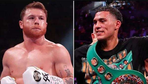 Kenapa Canelo Tolak Tawaran Fantastis Rp1,1 Triliun untuk Lawan David Benavidez? Kenapa Canelo Tolak Tawaran Fantastis Rp1,1 Triliun untuk Lawan David Benavidez?