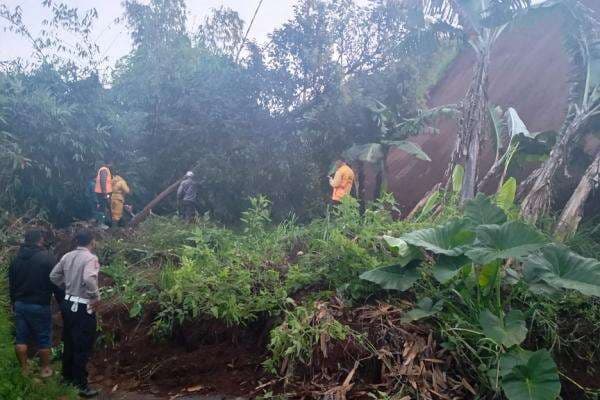 Longsor Tutup Jalan Raya Pangalengan, Akses Lalu Lintas Lumpuh Total Longsor Tutup Jalan Raya Pangalengan, Akses Lalu Lintas Lumpuh Total