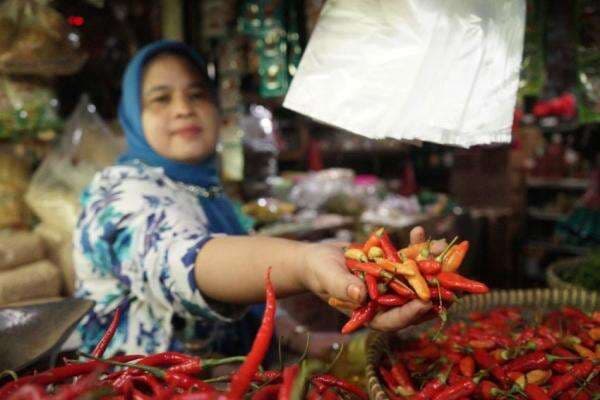 Mentan Amran Sebut Harga Cabai Berangsur Turun Mentan Amran Sebut Harga Cabai Berangsur Turun