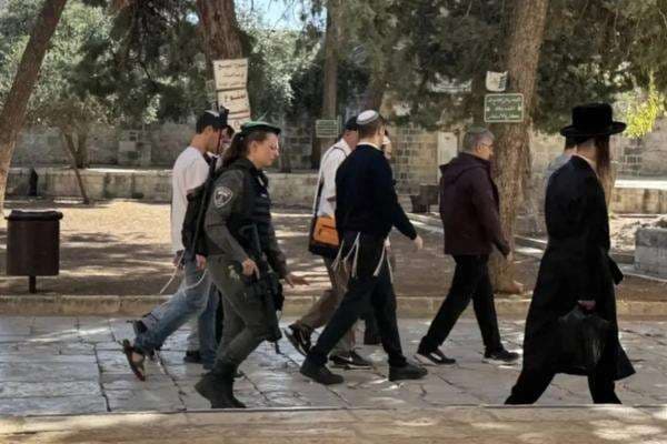 Mesir Kutuk Seruan Pemukim Israel untuk Mengebom Masjid Al-Aqsa dan Bangun Kuil Yahudi Mesir Kutuk Seruan Pemukim Israel untuk Mengebom Masjid Al-Aqsa dan Bangun Kuil Yahudi