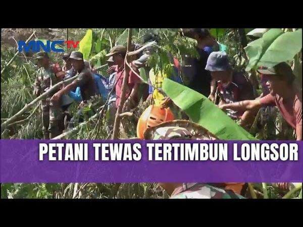 Petani Tewas Tertimbun Longsor Tebing 100 Meter di Brebes, Jasad Ditemukan Setelah Dua Hari Petani Tewas Tertimbun Longsor Tebing 100 Meter di Brebes, Jasad Ditemukan Setelah Dua Hari