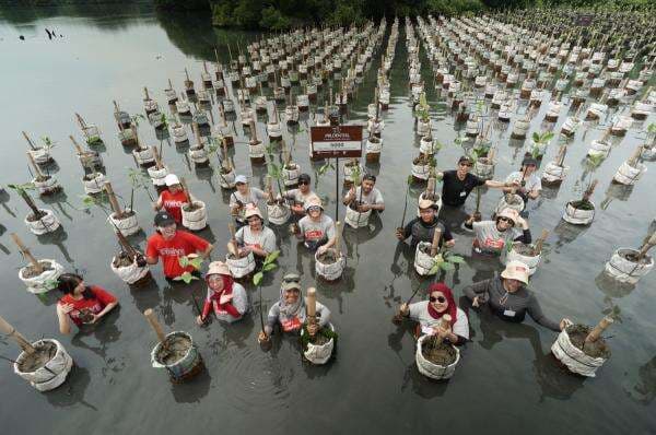 Prudential Dukung Keberlanjutan Lingkungan di Kepulauan Seribu Prudential Dukung Keberlanjutan Lingkungan di Kepulauan Seribu