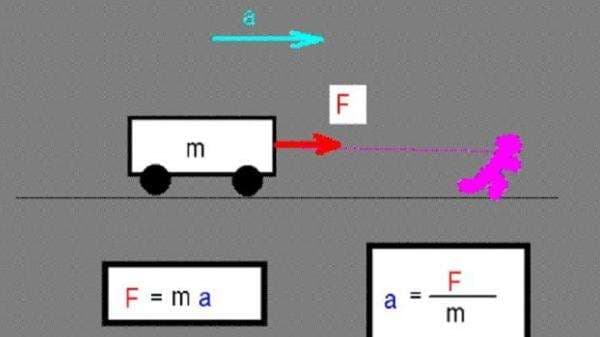 Rumus Fisika Gaya: Penjelasan, Jenis dan Contoh Soal Rumus Fisika Gaya: Penjelasan, Jenis dan Contoh Soal