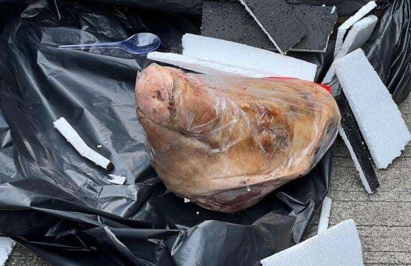 Dukung Kebebasan Pers, Ketum Pasbata Kecam Aksi Teror Kepala Babi di Kantor Tempo Dukung Kebebasan Pers, Ketum Pasbata Kecam Aksi Teror Kepala Babi di Kantor Tempo