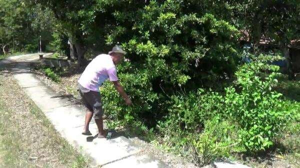 Warga Grobogan Ditemukan Tewas di Semak-Semak, Wajah Berlumuran Darah Mengering Warga Grobogan Ditemukan Tewas di Semak-Semak, Wajah Berlumuran Darah Mengering