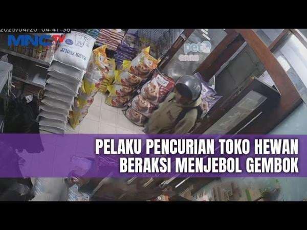 Komplotan Pelanggan Bobol Toko Makanan Hewan di Klender, Uang Jutaan Raib Komplotan Pelanggan Bobol Toko Makanan Hewan di Klender, Uang Jutaan Raib